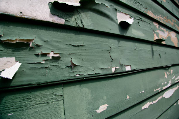 Storm Damage Siding Repair in Turtle Creek, PA