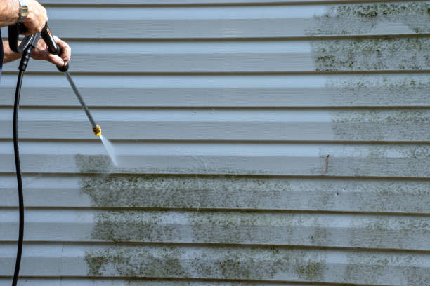 Best Storm Damage Siding Repair  in Turtle Creek, PA