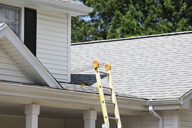 Best Siding Painting and Refinishing  in Turtle Creek, PA