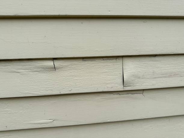 Best Wood Siding Installation  in Turtle Creek, PA